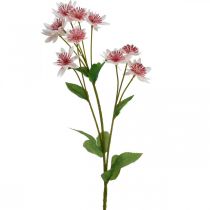 Flor de seda de Astrania artificial grande Masterwort blanco rosa L61cm