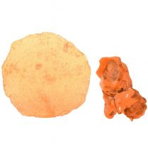 Artículo Mejillones ostra capiz en rodajas en red naranja 3,5–9,5cm 2ud