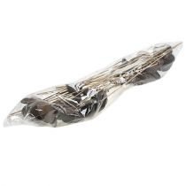 Artículo Badam en palo natural 6cm - 12cm 23 piezas