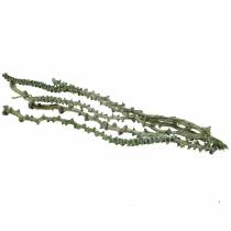 Artículo Banana Stem Dekoast Verde, blanqueado 20 uds