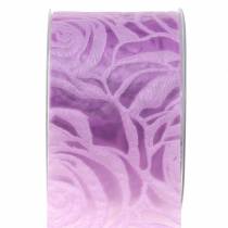 Cinta de regalo para la decoración rosas ancha Púrpura 63mm 20m