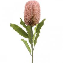 Artículo Flor artificial Banksia rosa otoño decoración floristería conmemorativa 64cm