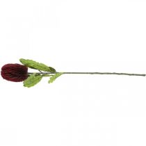 Artículo Flor Artificial Banksia Rojo Borgoña Artificial Exotics 64cm