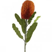 Artículo Flores artificiales Banksia naranja otoño decoración funeraria flores 64cm