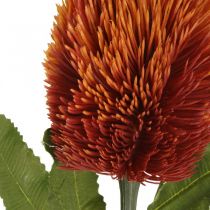 Artículo Flores artificiales Banksia naranja otoño decoración funeraria flores 64cm