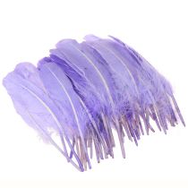 Artículo Plumas artesanales teñidas en plumas de ganso moradas 20 g x 2 piezas
