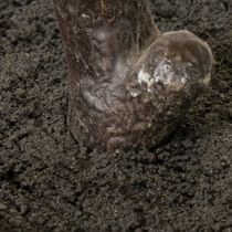 Artículo Árbol artificial con hojas delicadas, 120 cm