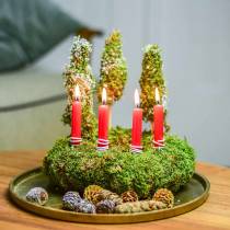 Artículo Velas de árbol rojas 20 piezas