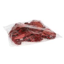 Artículo Esponja de arbol roja 1kg
