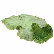 Artículo Esponja de árbol verde blanqueada 1kg