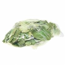 Artículo Esponja de árbol verde blanqueada 1kg