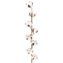 Artículo Rama artificial de algodón con 8 flores naturales, 78 cm.