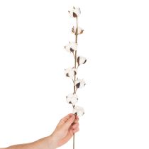 Artículo Rama artificial de algodón con 8 flores naturales, 78 cm.