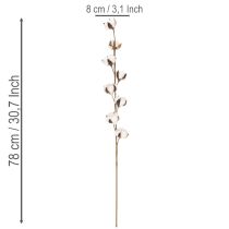 Artículo Rama artificial de algodón con 8 flores naturales, 78 cm.
