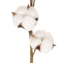 Artículo Rama artificial de algodón con 8 flores naturales, 78 cm.