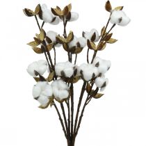Artículo Rama de algodón Rama decorativa artificial algodón 61cm 3pcs