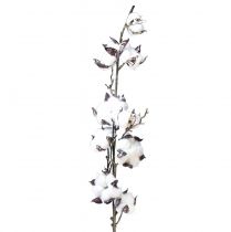 Artículo Rama de algodón flores de algodón artificial marrón blanco L95cm