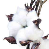 Artículo Rama de algodón flores de algodón artificial marrón blanco L95cm