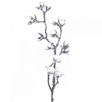 Artículo Rama de algodón artificial flores de algodón con nieve 79cm