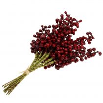 Artículo Palillo de bayas rojo 23 cm 12 piezas