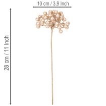 Artículo Rama artificial de bayas, decoración color champán, 28 cm, 3 piezas