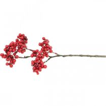 Artículo Rama decorativa con frutos rojos rama de baya decoración de otoño 26cm 6pcs