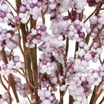 Artículo Rama de bayas Rama de Navidad violeta blanco escarcha L60cm 2 piezas