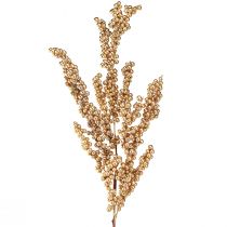 Artículo Rama de bayas con bayas doradas Rama navideña 70cm
