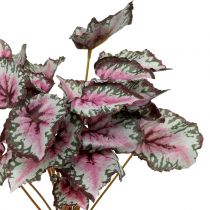 Artículo Begonia artificial arbusto verde, violeta 34cm
