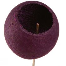 Artículo Campana Copa en palo decoración seca luto floristería vino tinto 15 piezas