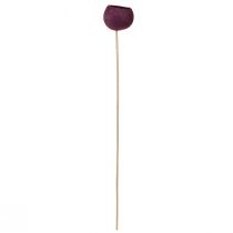 Artículo Copa de campana sobre tallo decoración seca floristería funeraria vino tinto 15 piezas