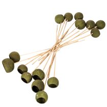 Artículo Copa de campana sobre tallo, flores exóticas secas verdes, 5 cm, 15 piezas