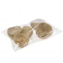 Artículo Campana de frutos secos, decoración de luto natural, 8,5-11 cm, 10 unidades