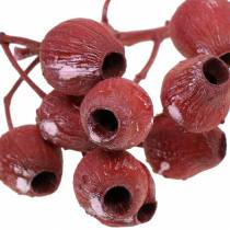 Artículo Rama Bellgum 5cm - 7cm rojo esmerilado 20 piezas