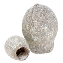Bellgum blanco lavado 2cm - 5cm 500g