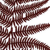 Artículo Helecho decorativo helecho de montaña hojas secas rojo vino 50cm 20ud