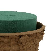 Artículo Cuenco floral húmedo de espuma para arreglos florales Ø18cm 2uds