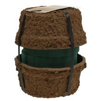 Artículo Cuenco floral húmedo de espuma para arreglos florales Ø18cm 2uds