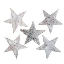 Artículo Estrella de abedul blanqueada 6,5cm 36uds