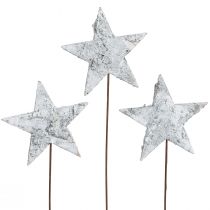 Artículo Estrellas de abedul sobre alambre estrellas corteza de abedul blanco 6cm 24 piezas
