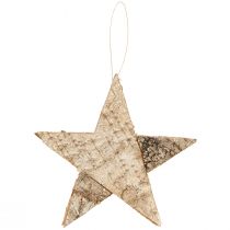 Artículo Estrellas de abedul para estrellas colgantes corteza de abedul natural 25cm 3 piezas