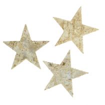 Artículo Estrellas abedul 9cm 70uds
