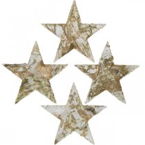 Artículo Estrella decorativa de corteza de abedul estrellas de abedul natural, doradas 6,5 cm 30 piezas