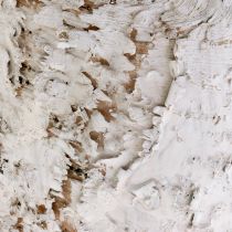 Artículo Maceta con macetero de corteza de abedul blanqueada Ø15cm H12,5cm 3 piezas