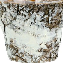 Artículo Macetero de abedul mini macetero blanco Ø7cm H7cm 10uds