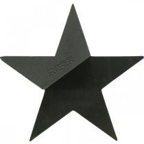 OASIS® Black Bioline® Espuma Floral Estrella Negra H30cm 2uds
