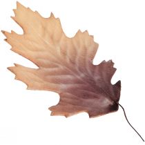 Hoja de roble rojo hojas de otoño deco hojas deco 13×19cm 12pcs