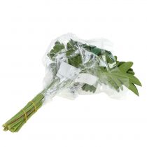 Artículo Hoja Filodendro 31cm Verde 12 uds