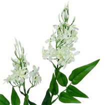 Artículo Rama floreciente blanco 78cm 3pcs