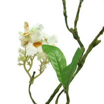 Artículo Rama de flores blanca L 65cm 1 pieza ¡Planta artificial como real!
